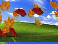 Autumn Leaves Screensaver screenshot